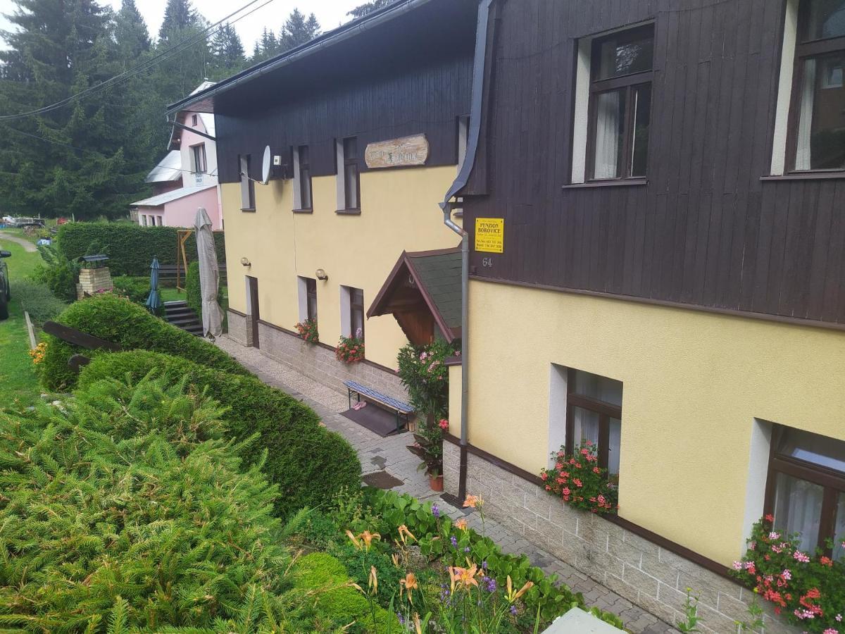 Penzion Borovice Josefuv Dul Exterior photo