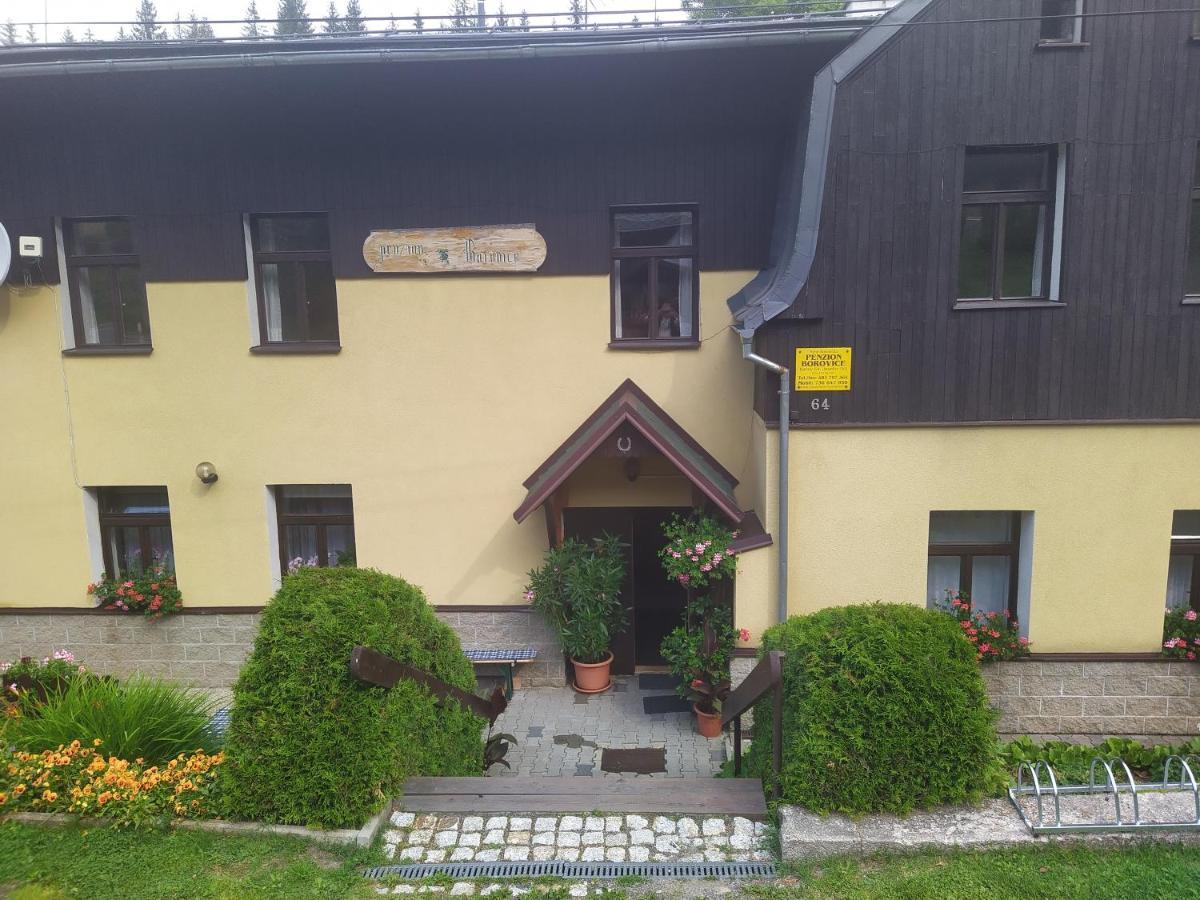 Penzion Borovice Josefuv Dul Exterior photo