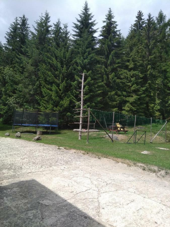 Penzion Borovice Josefuv Dul Exterior photo
